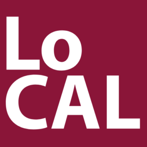 Outstanding Faculty Mentorship of Undergraduate Research (2020)