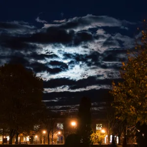 Pathways to Public Health: Advancing Health Equity Through Professional Development (2025)